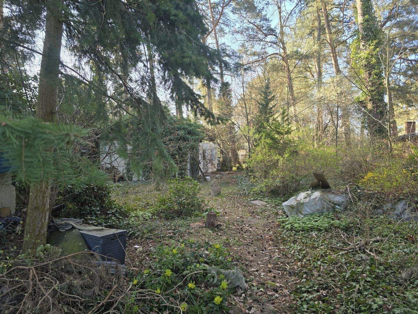 Bild 4