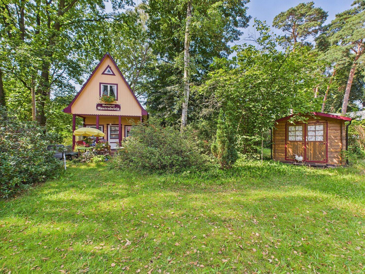 Bild 8