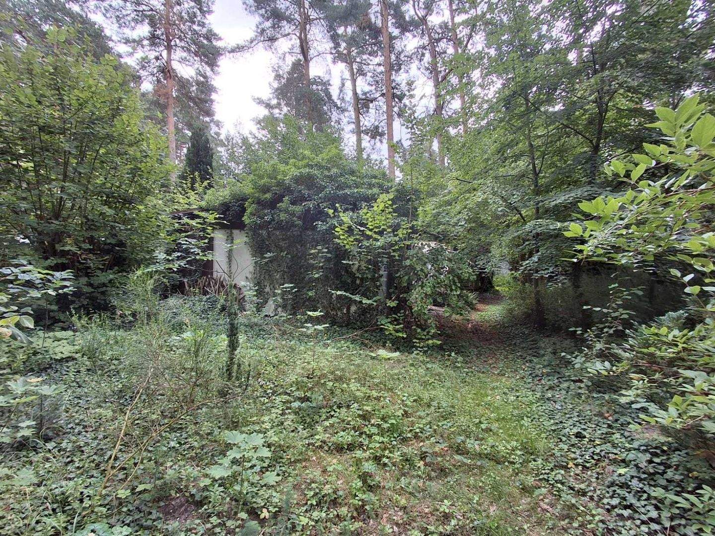 Bild 9