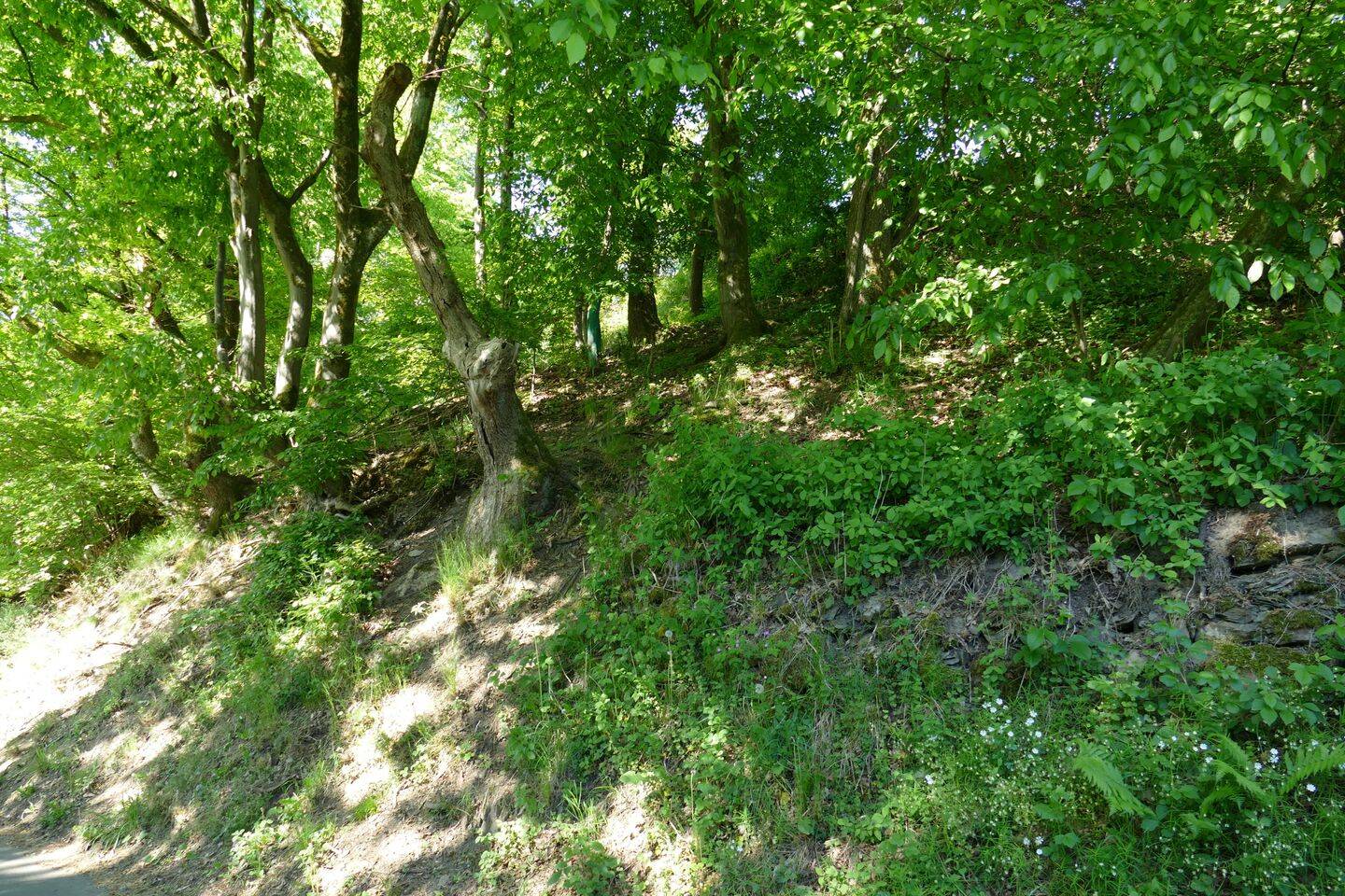 Bild 8