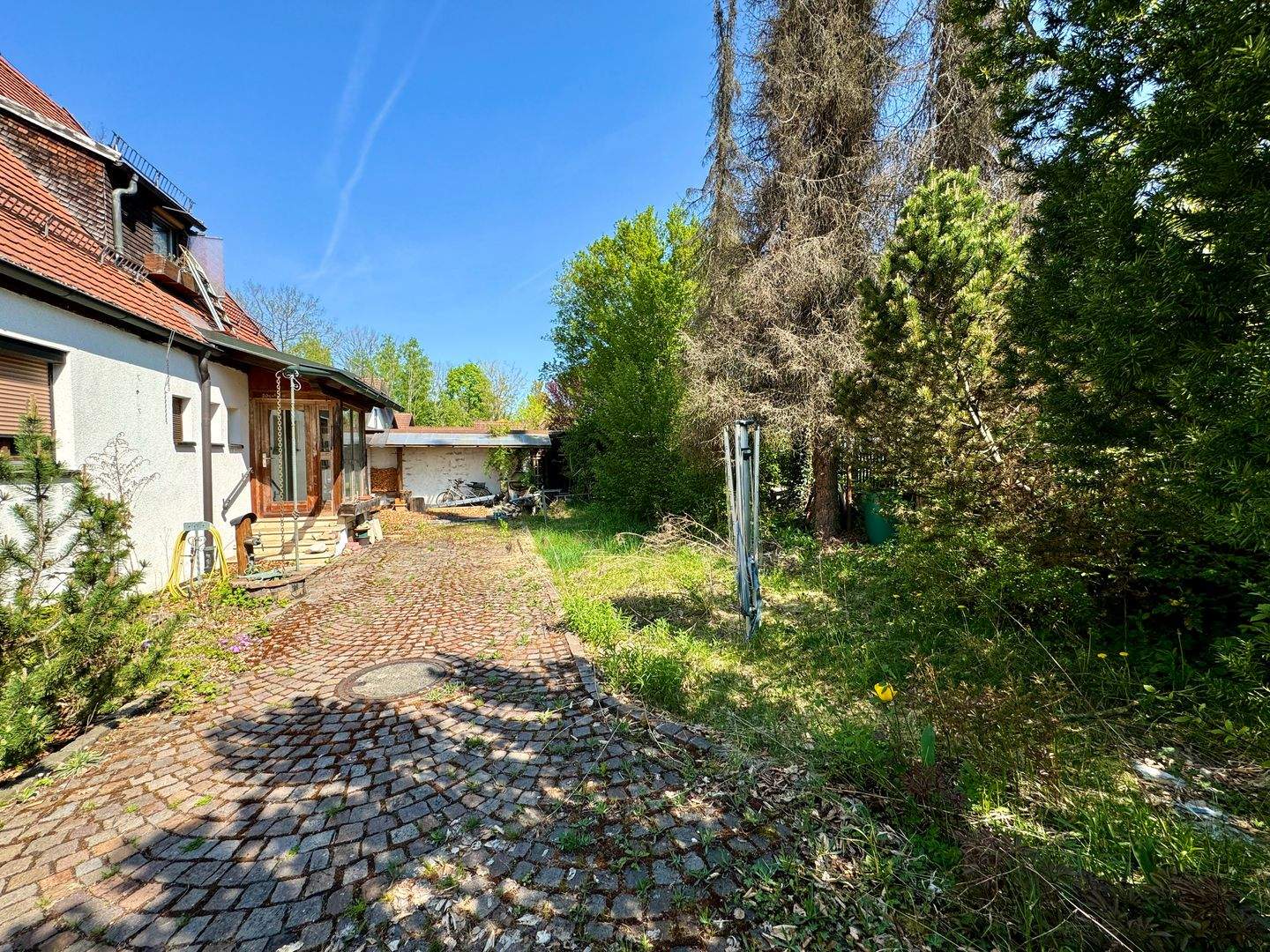 Bild 5