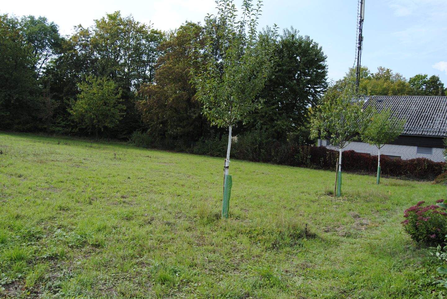 Bild 4