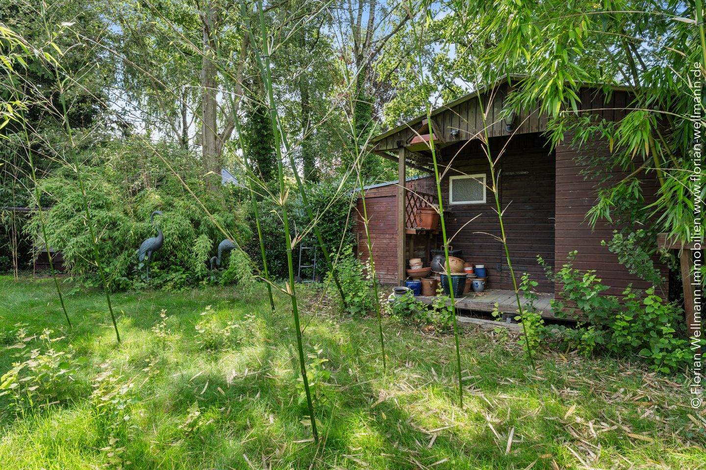 Bild 11