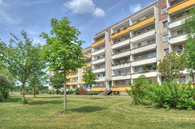 Bild 9