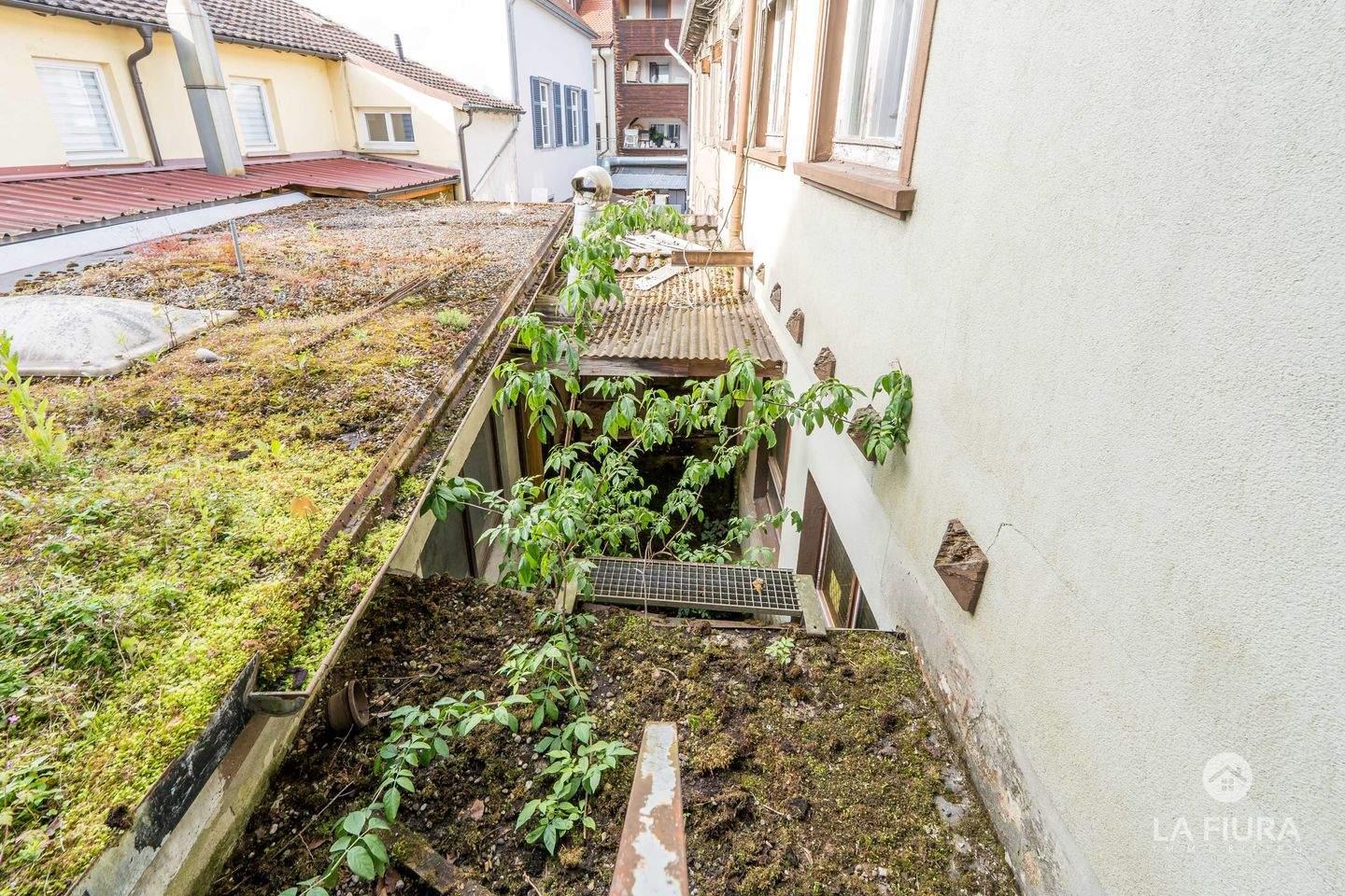 Bild 11