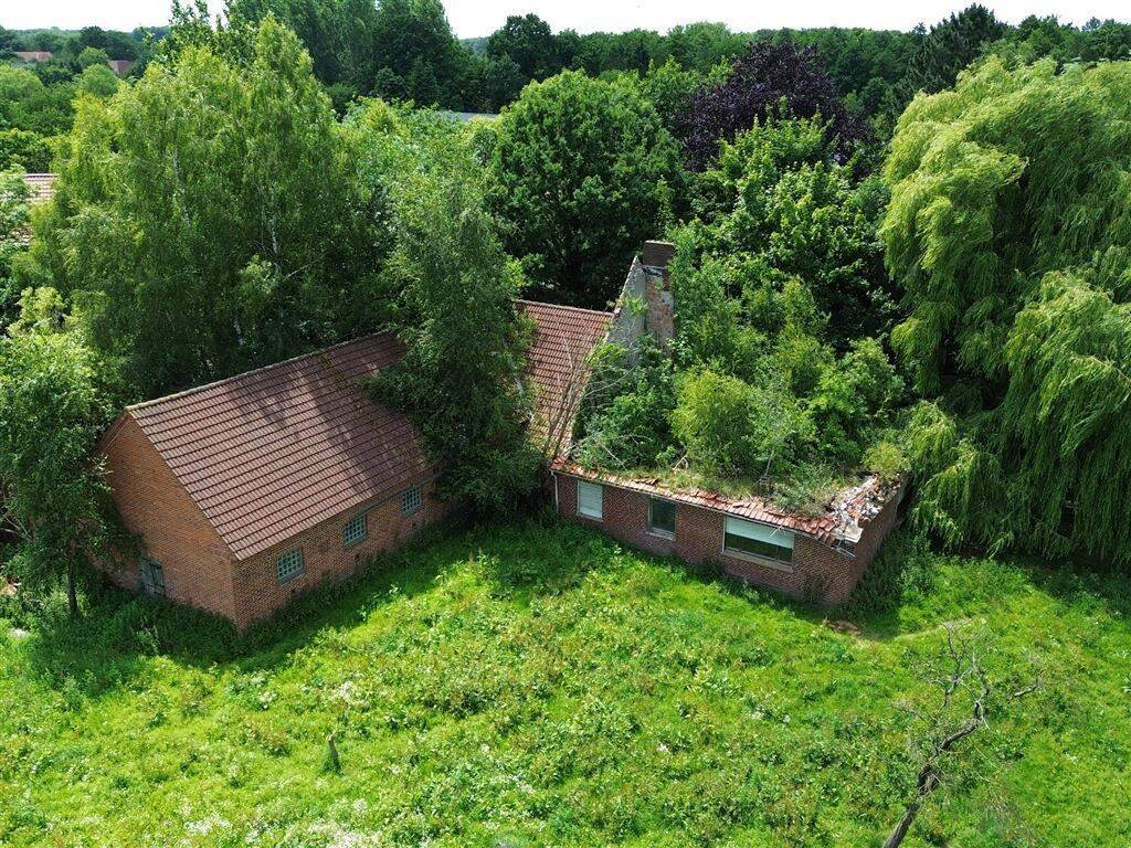 Bild 8