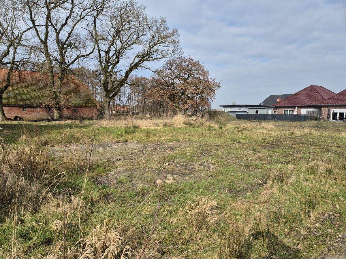 Bild 11