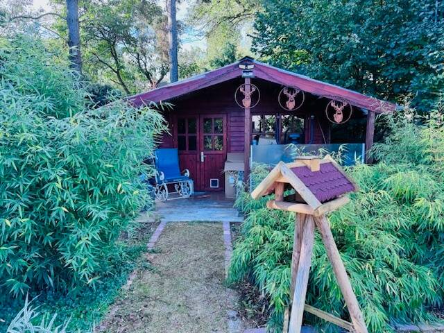 Bild 9