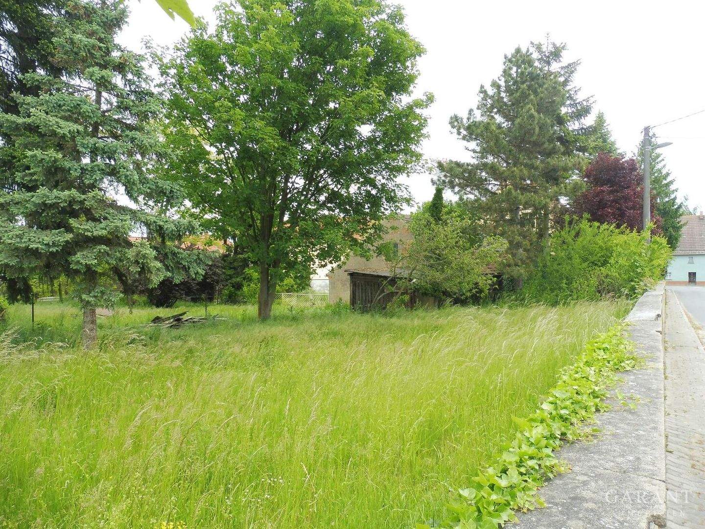 Bild 8