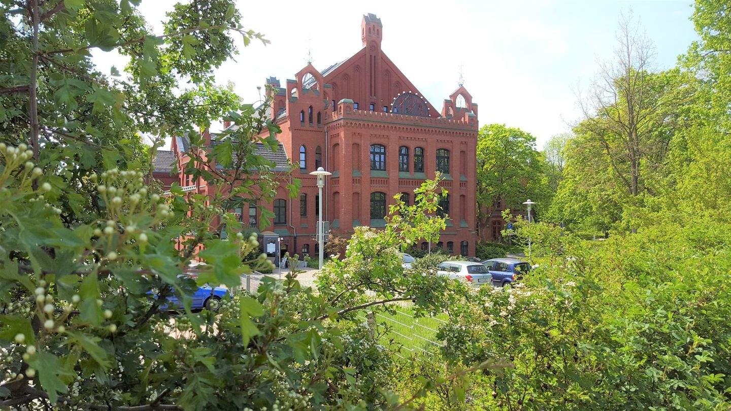 Bild 10