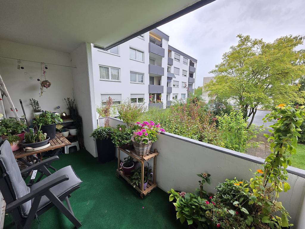 Bild 7