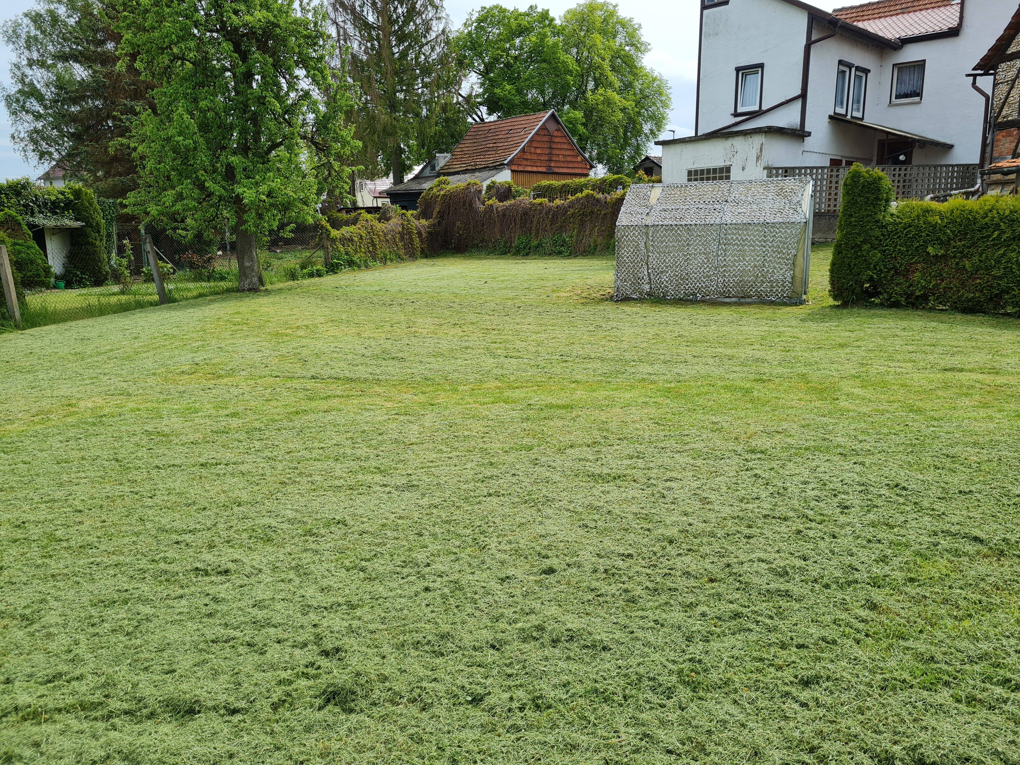 image-70003368