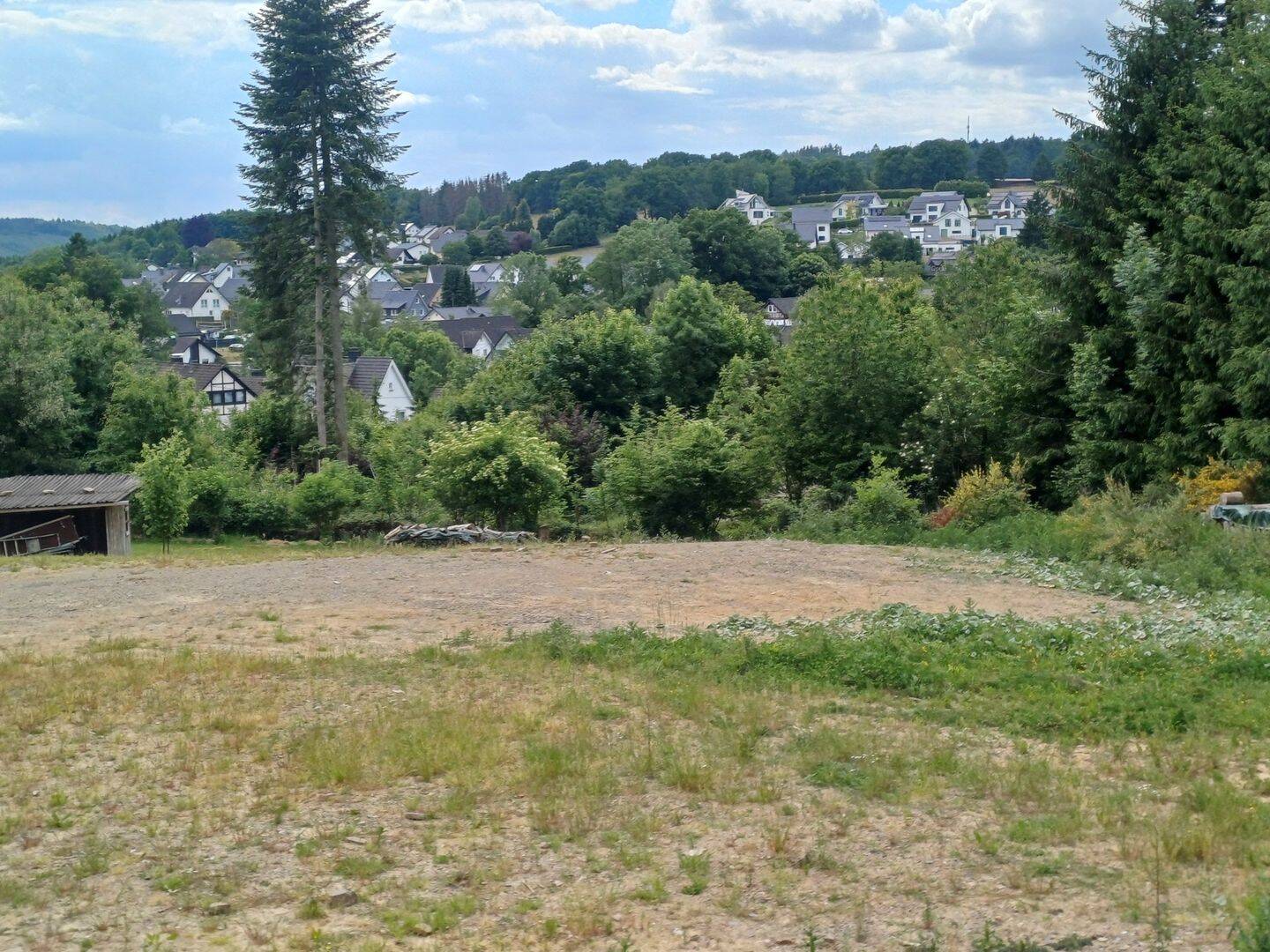 Bild 7