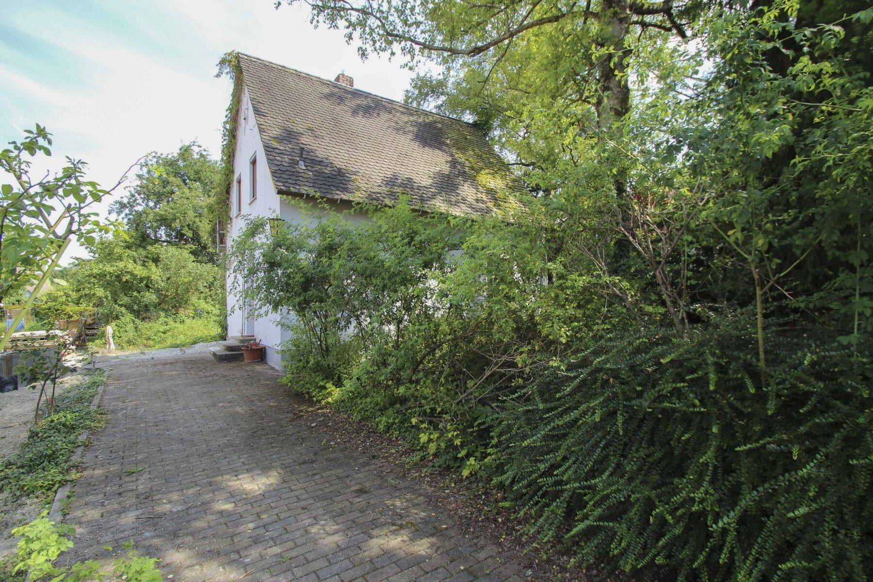 Bild 6