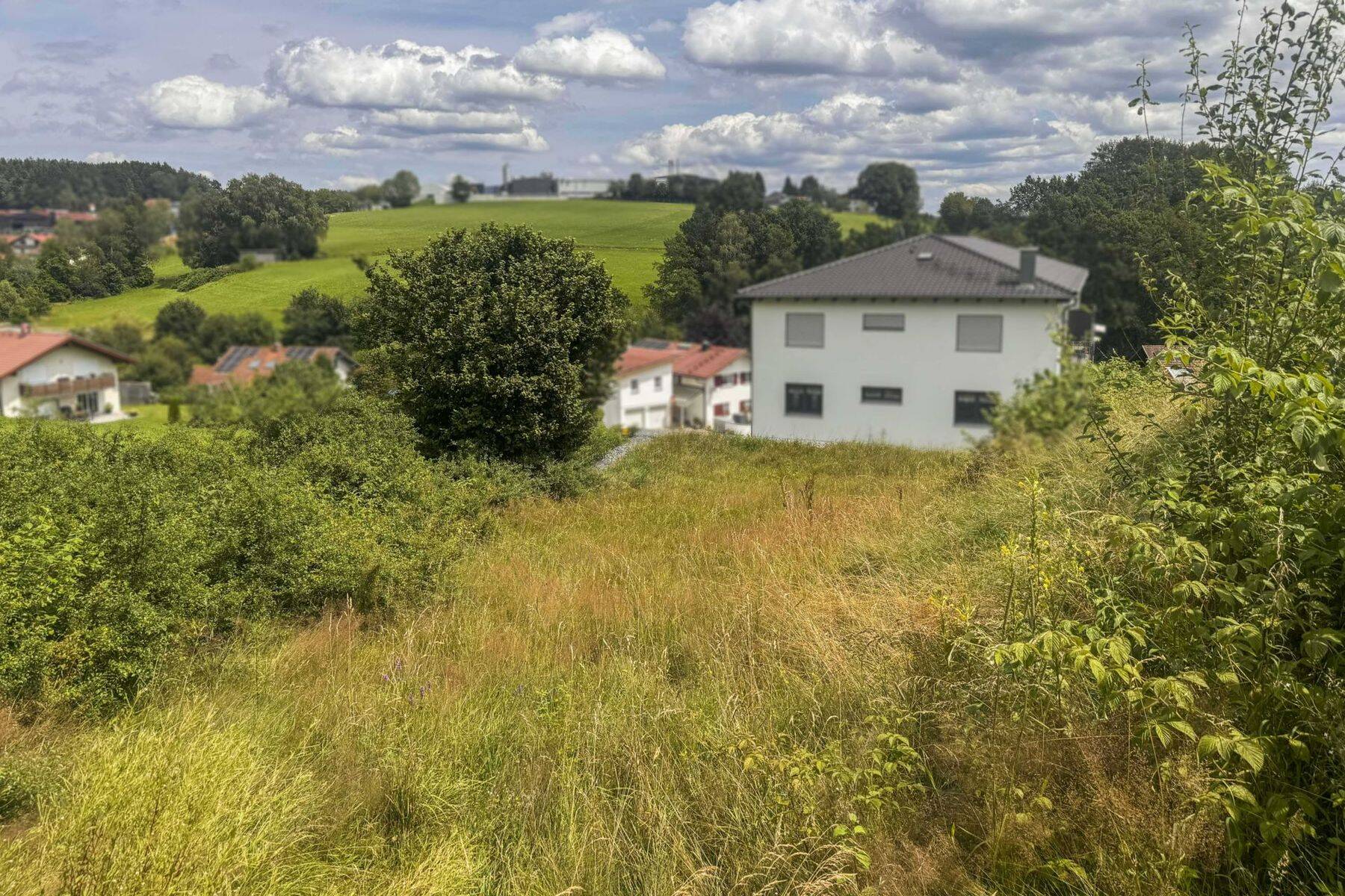 Bild 7