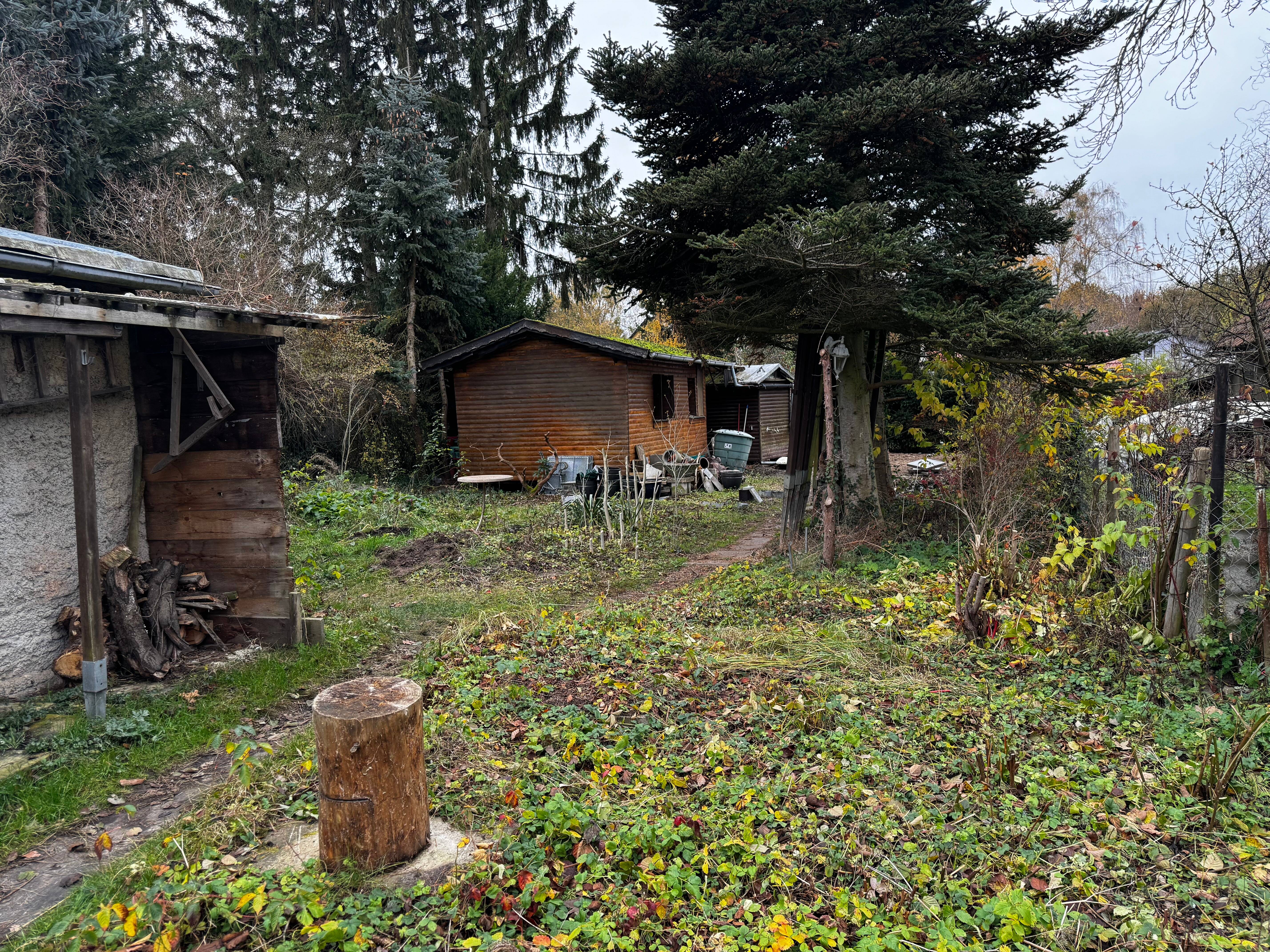 Bild 7