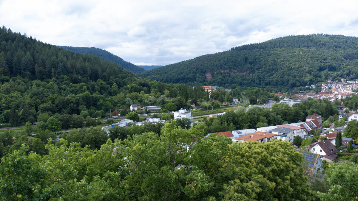 Bild 6