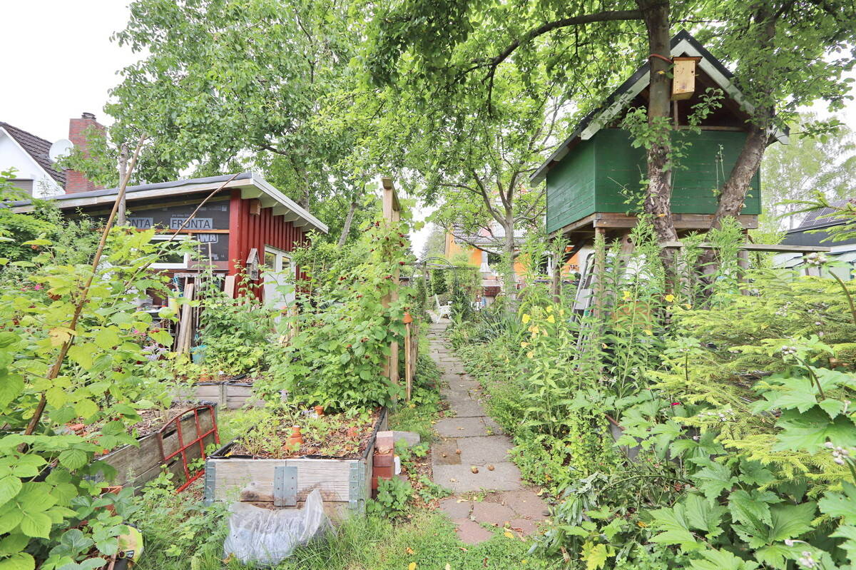 Bild 6