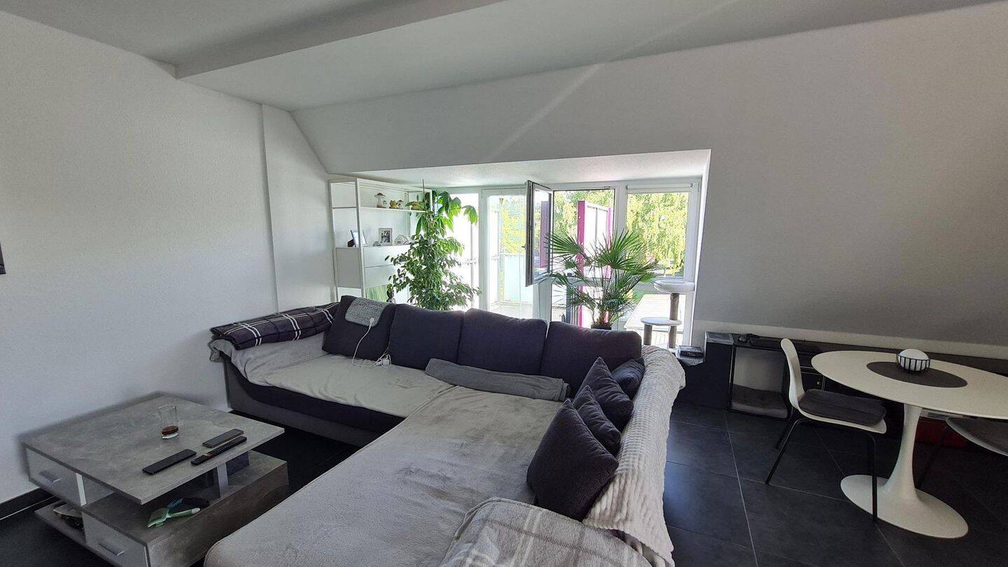 Bild 7