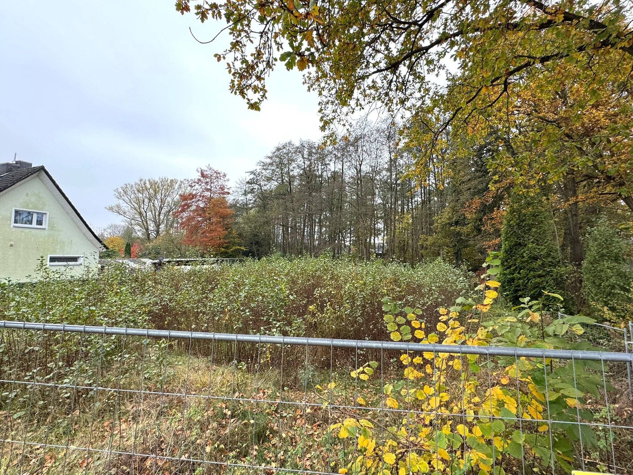 Bild 9