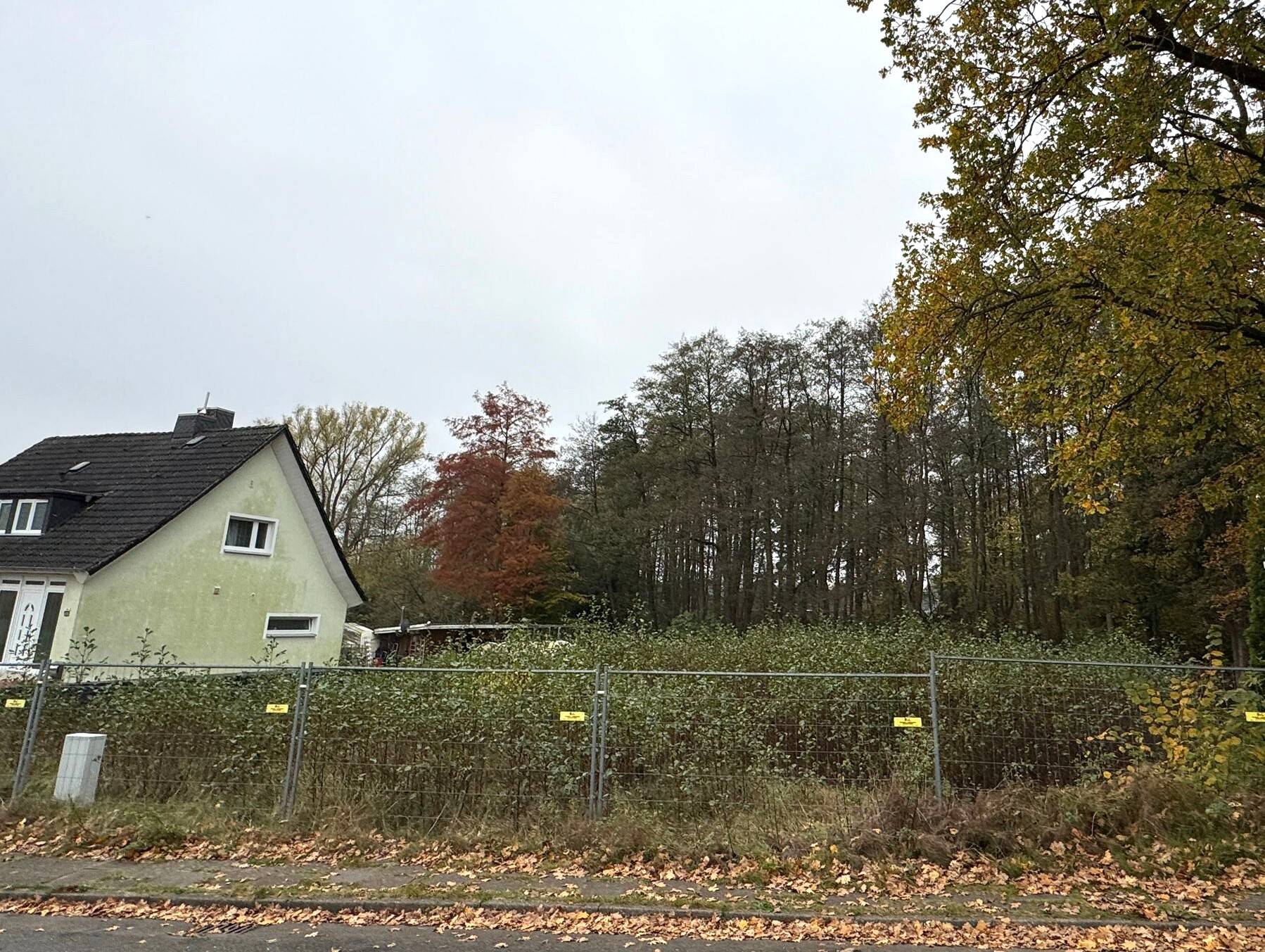 Bild 10
