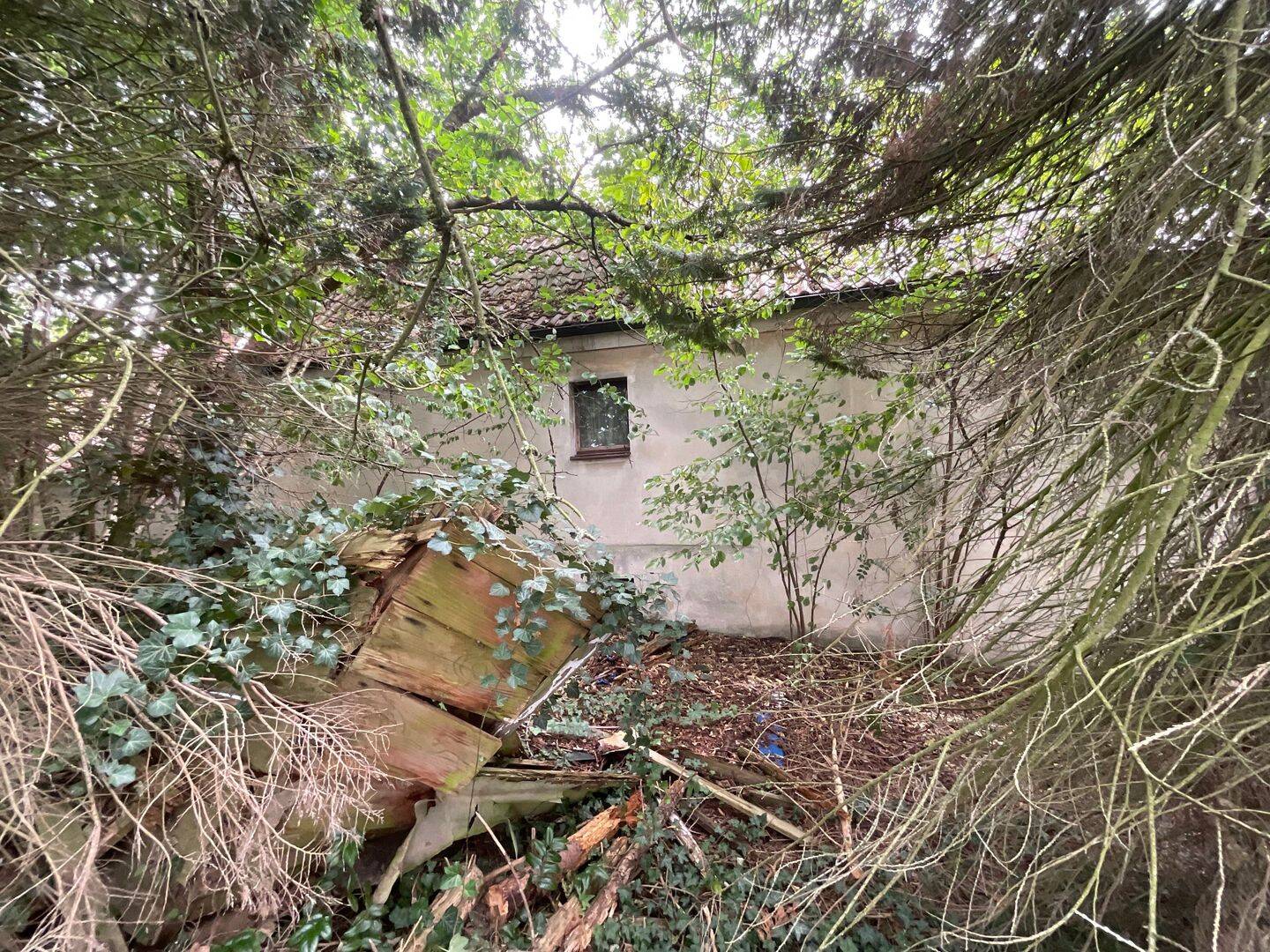 Bild 5