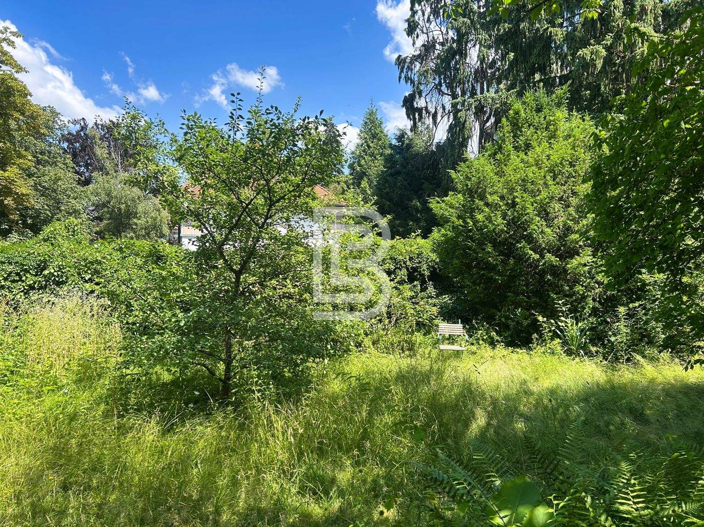 Bild 6
