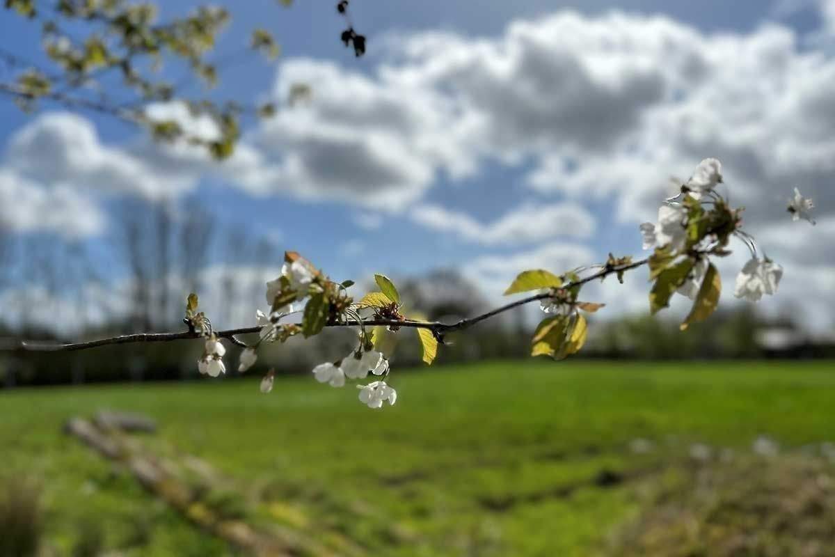 Bild 9