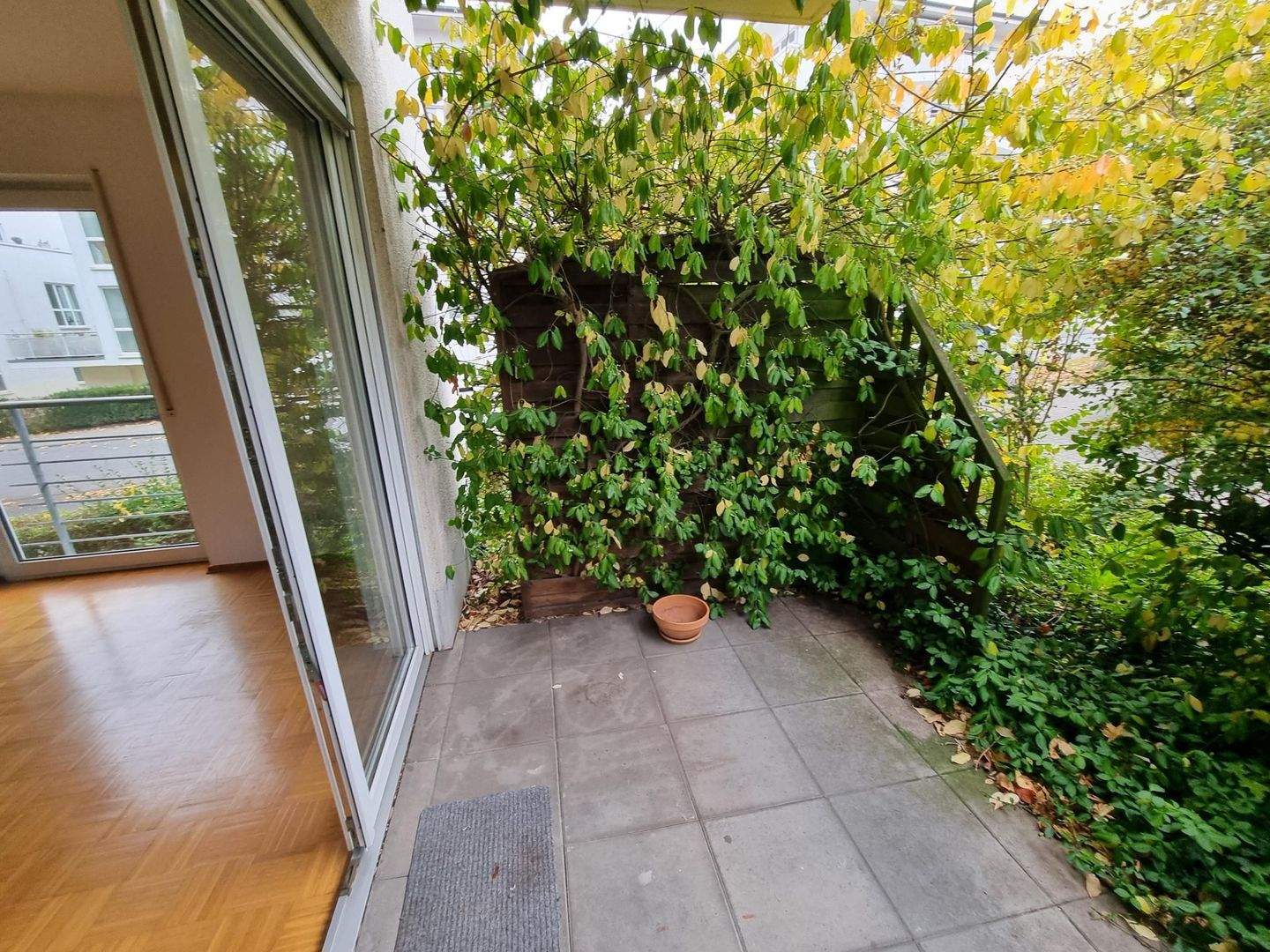 Bild 7