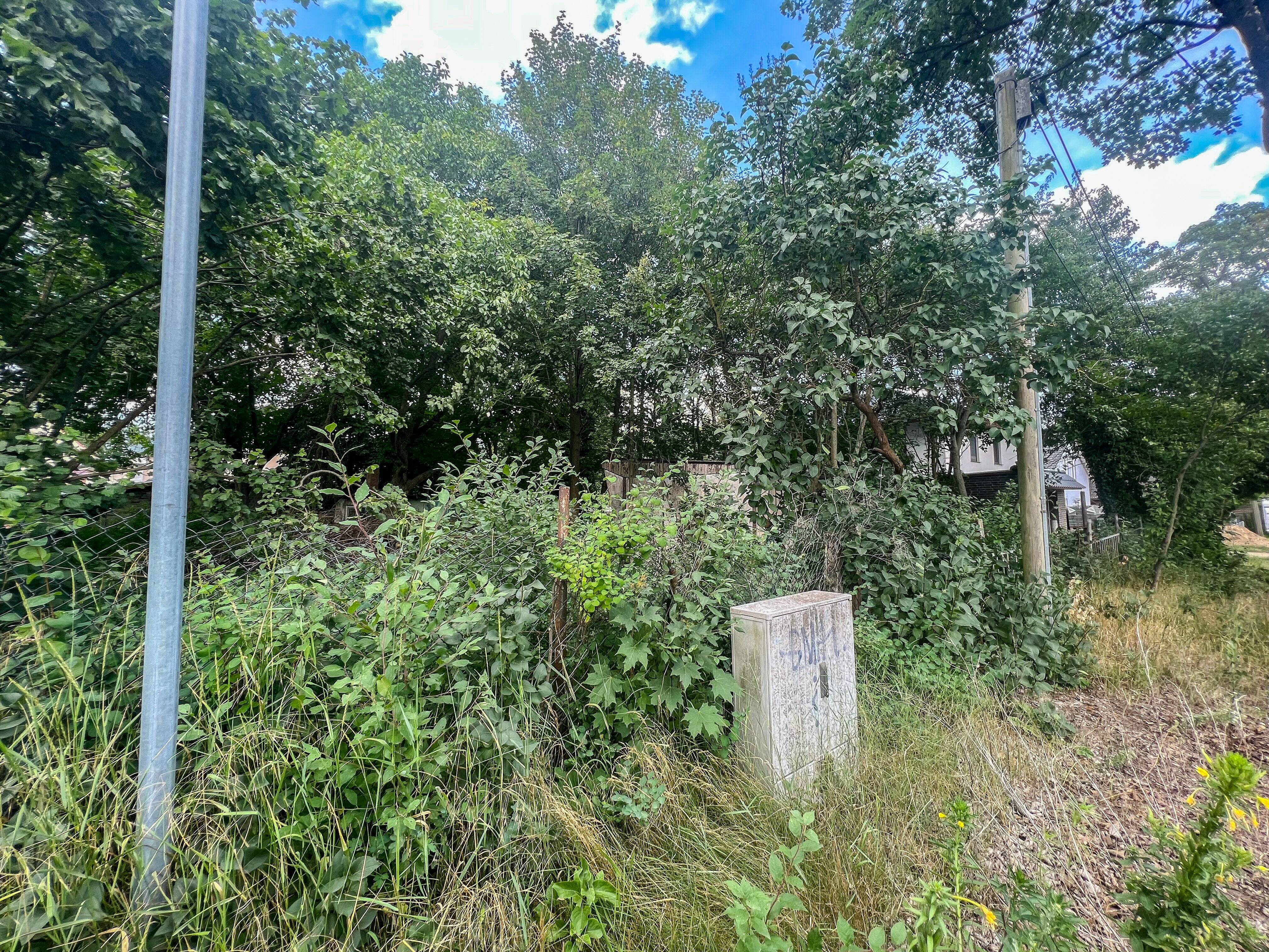 Bild 8