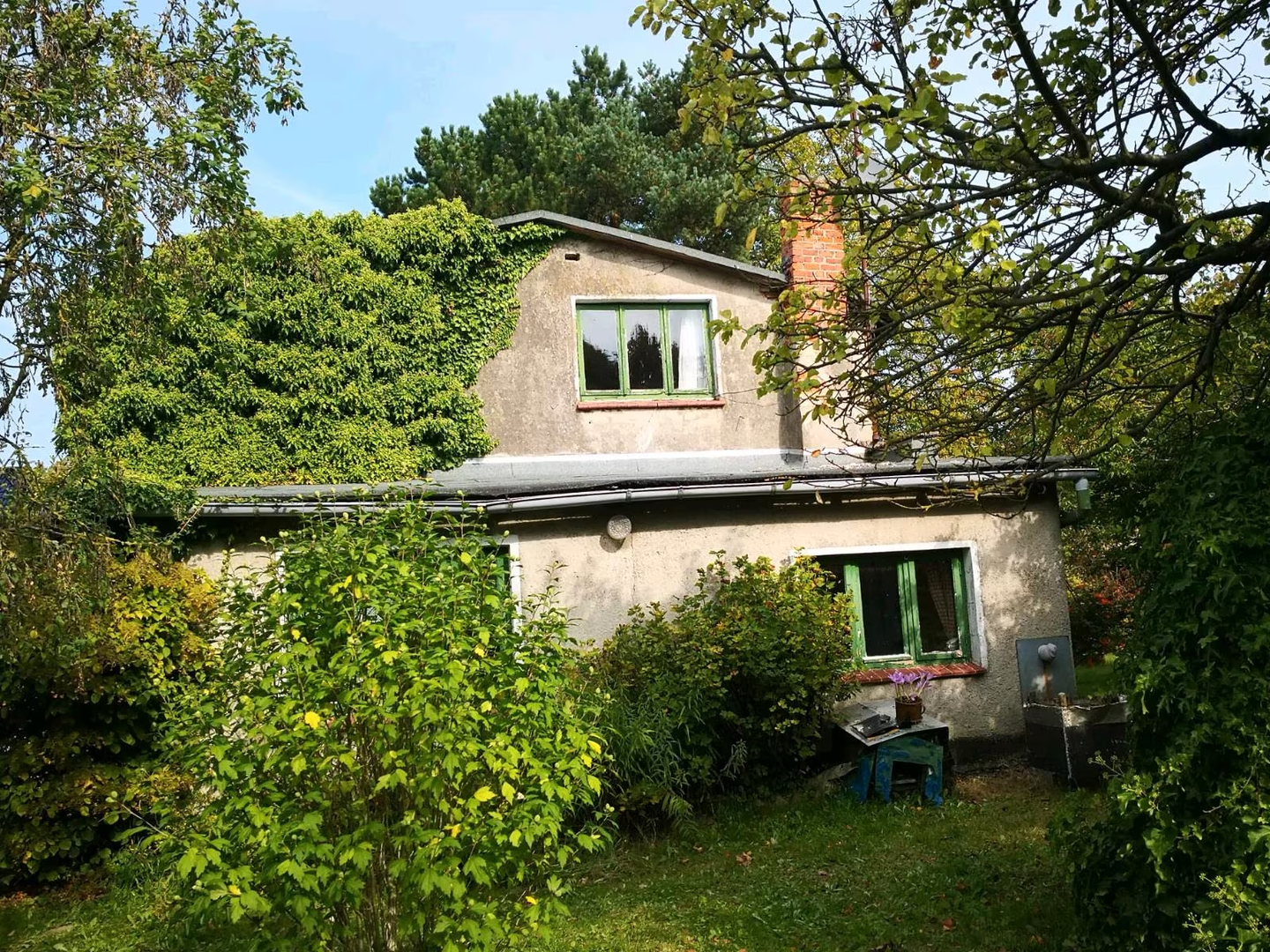 Bild 11