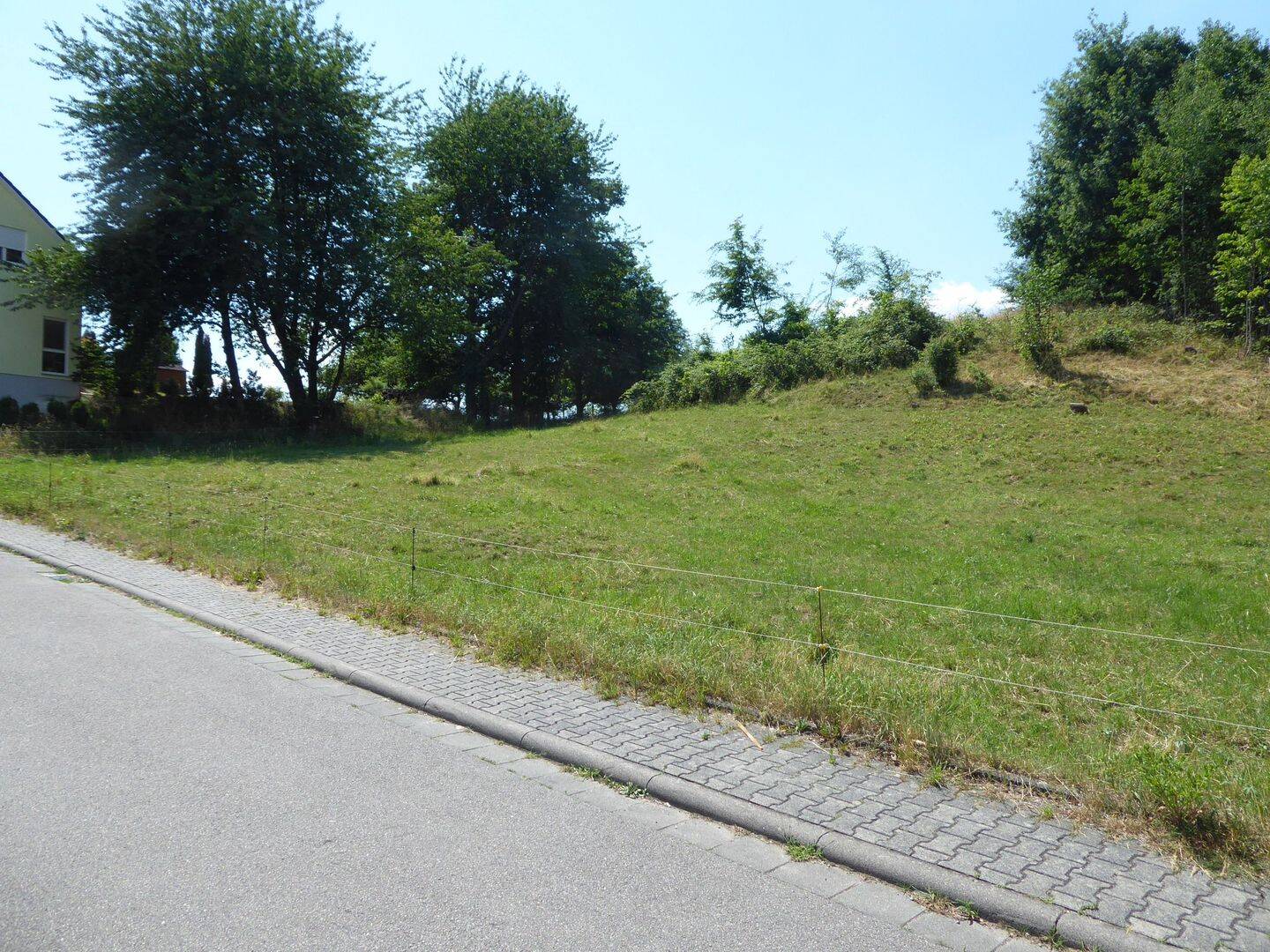 Bild 7