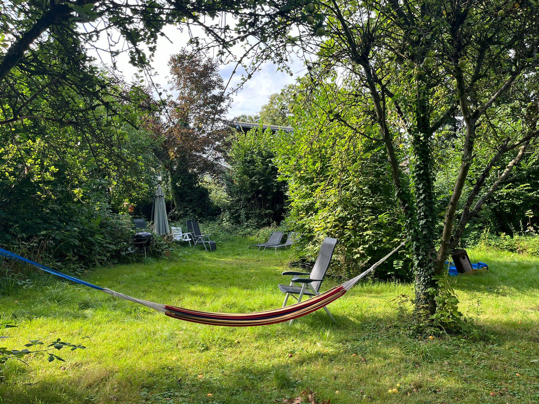 Bild 5