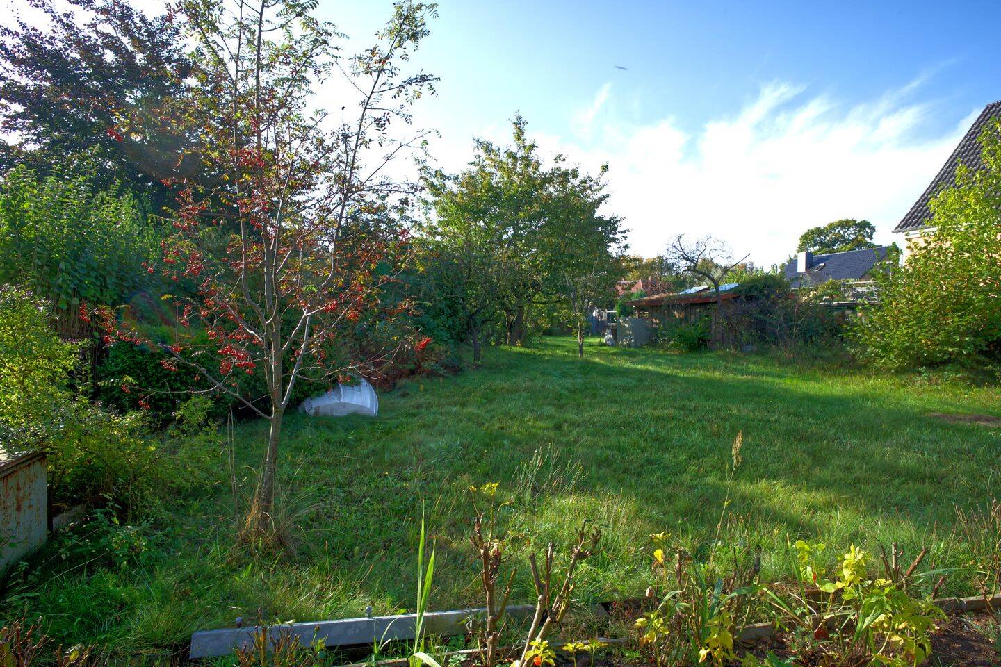 Bild 7