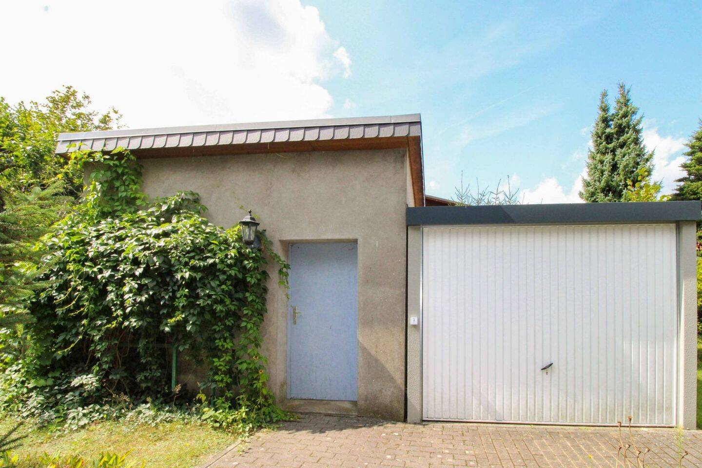 Bild 5
