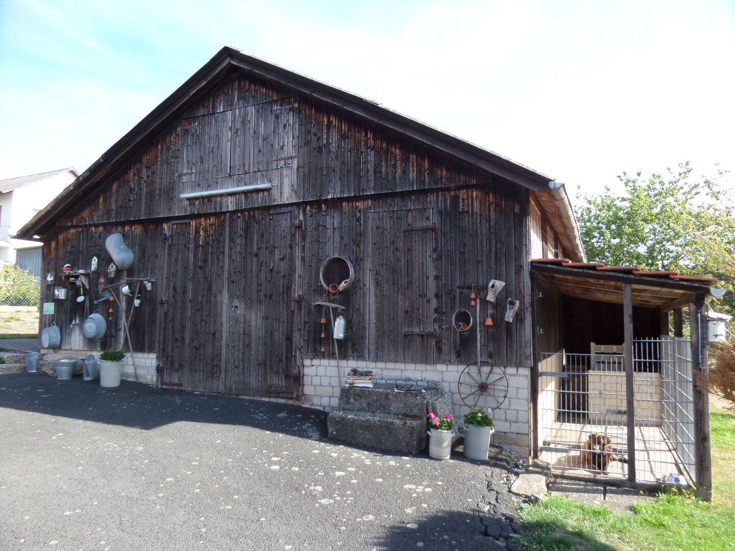 Bild 5