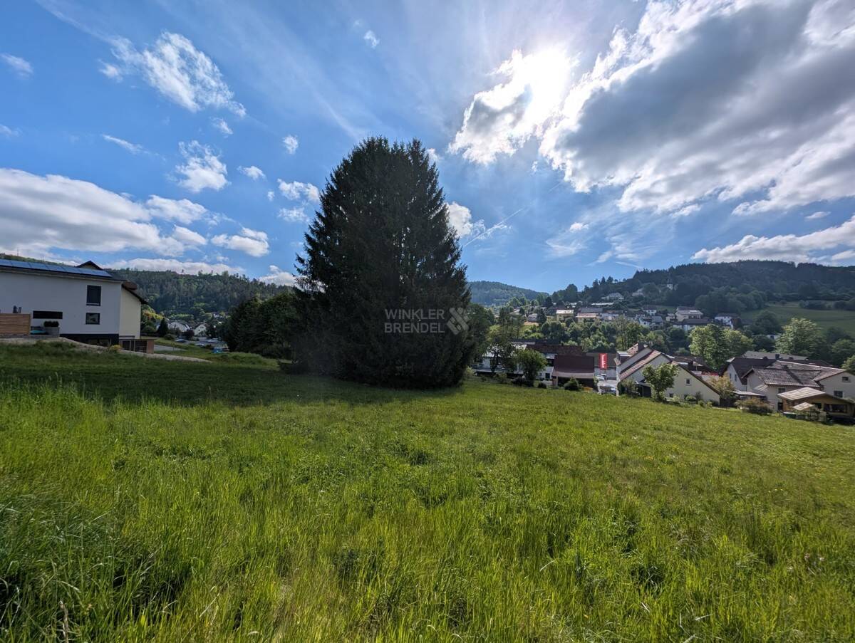 Bild 7
