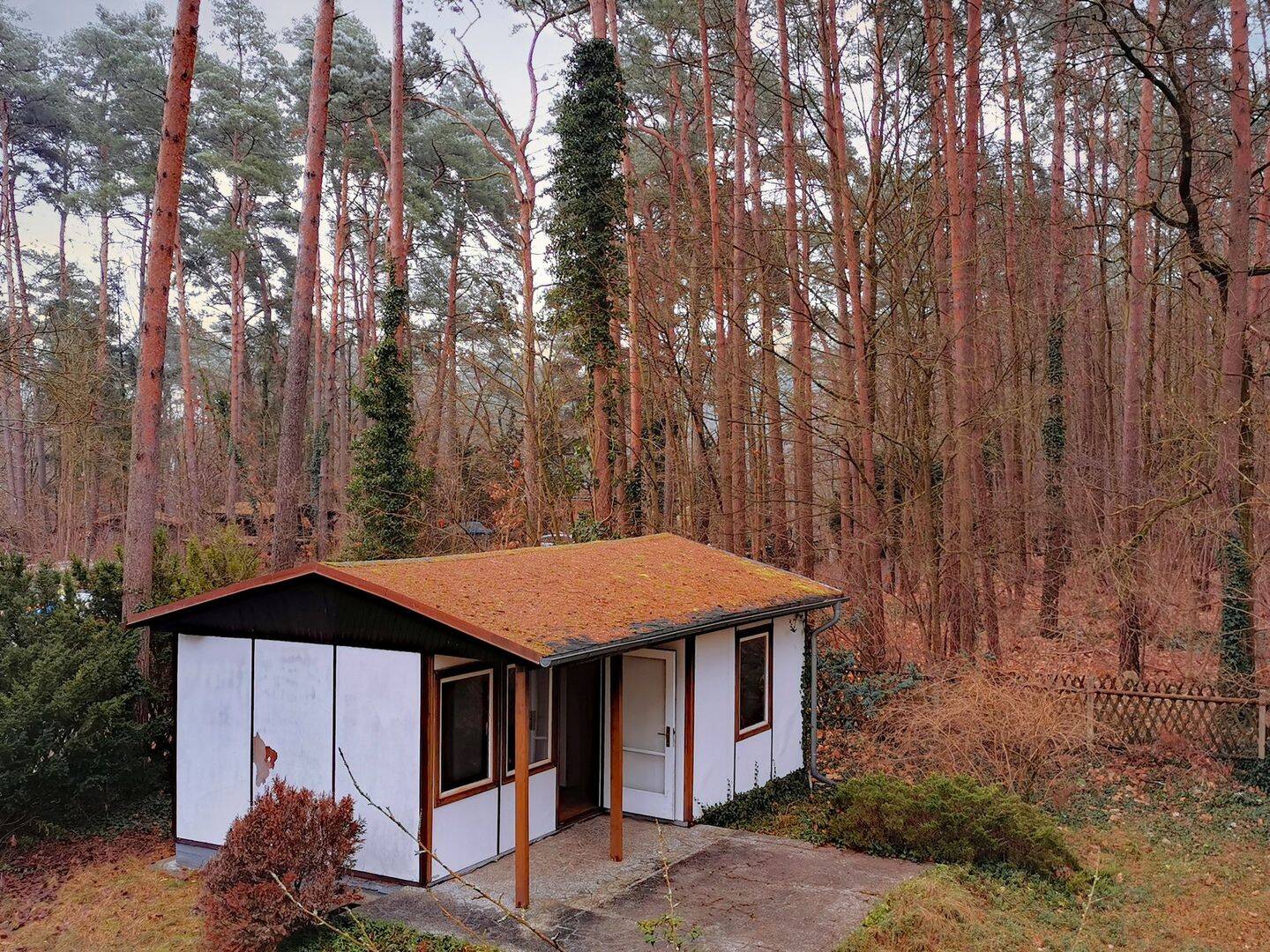 Bild 7