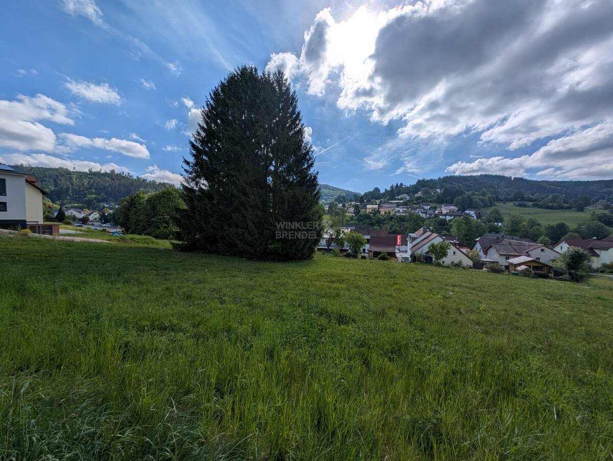 Bild 9