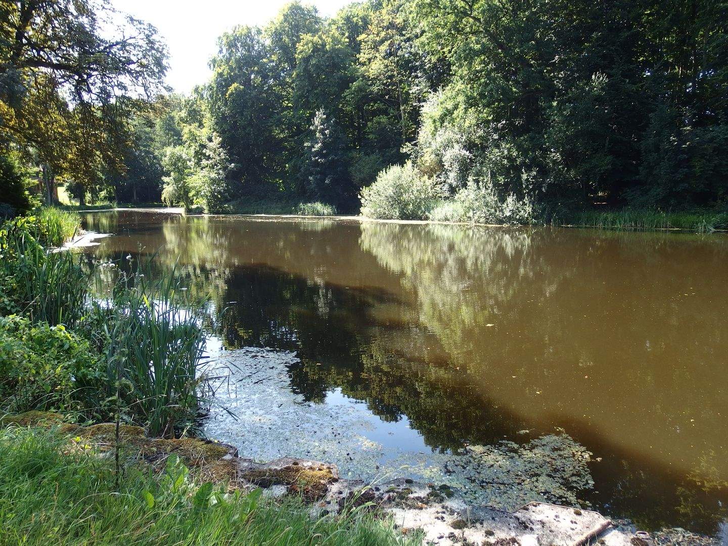 Bild 4