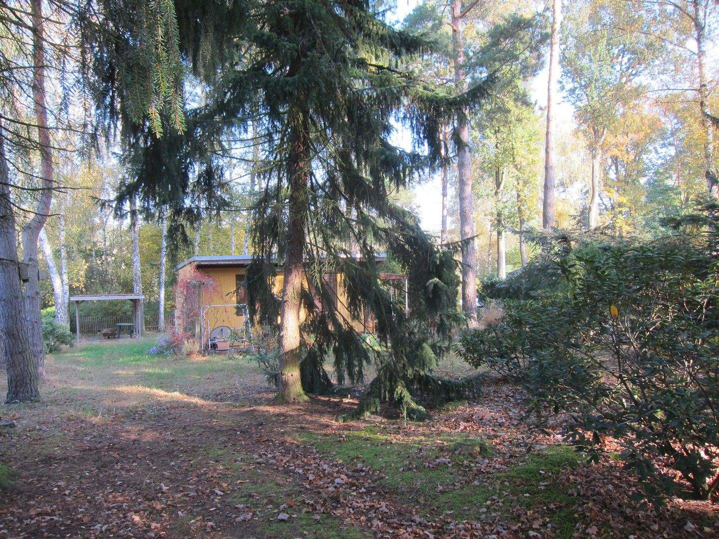 Bild 4