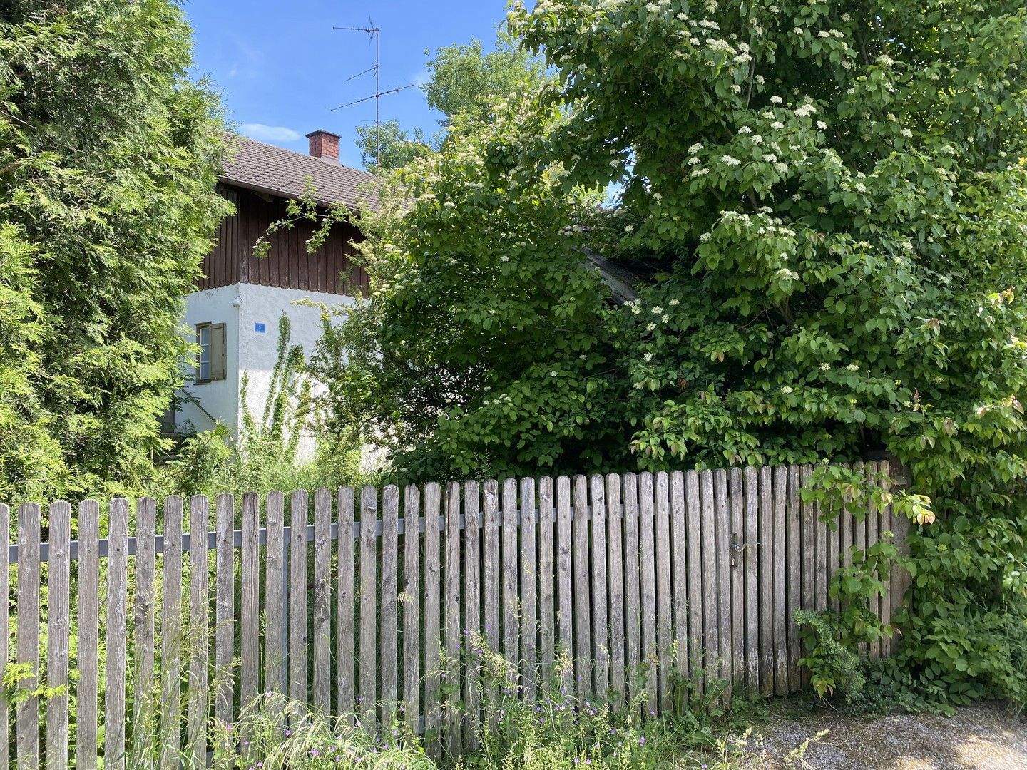 Bild 5