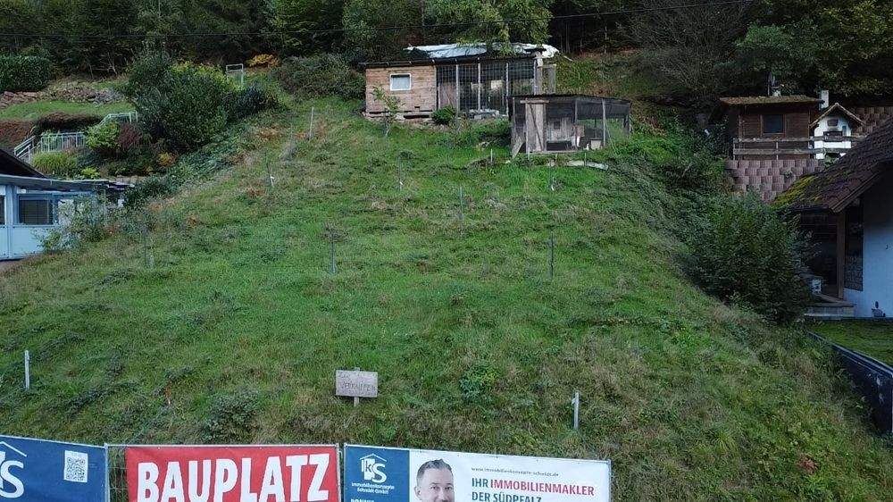 Bild 7