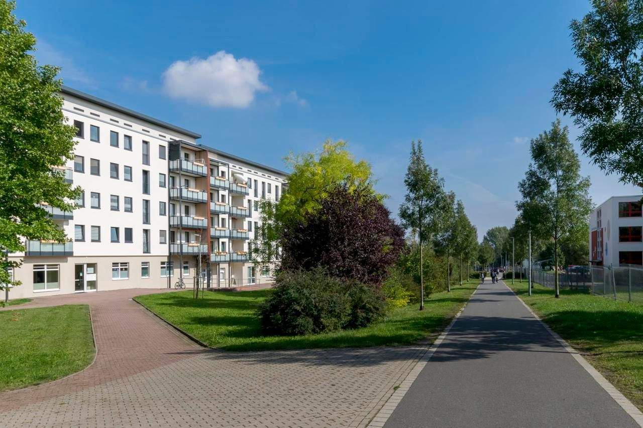 Bild 5