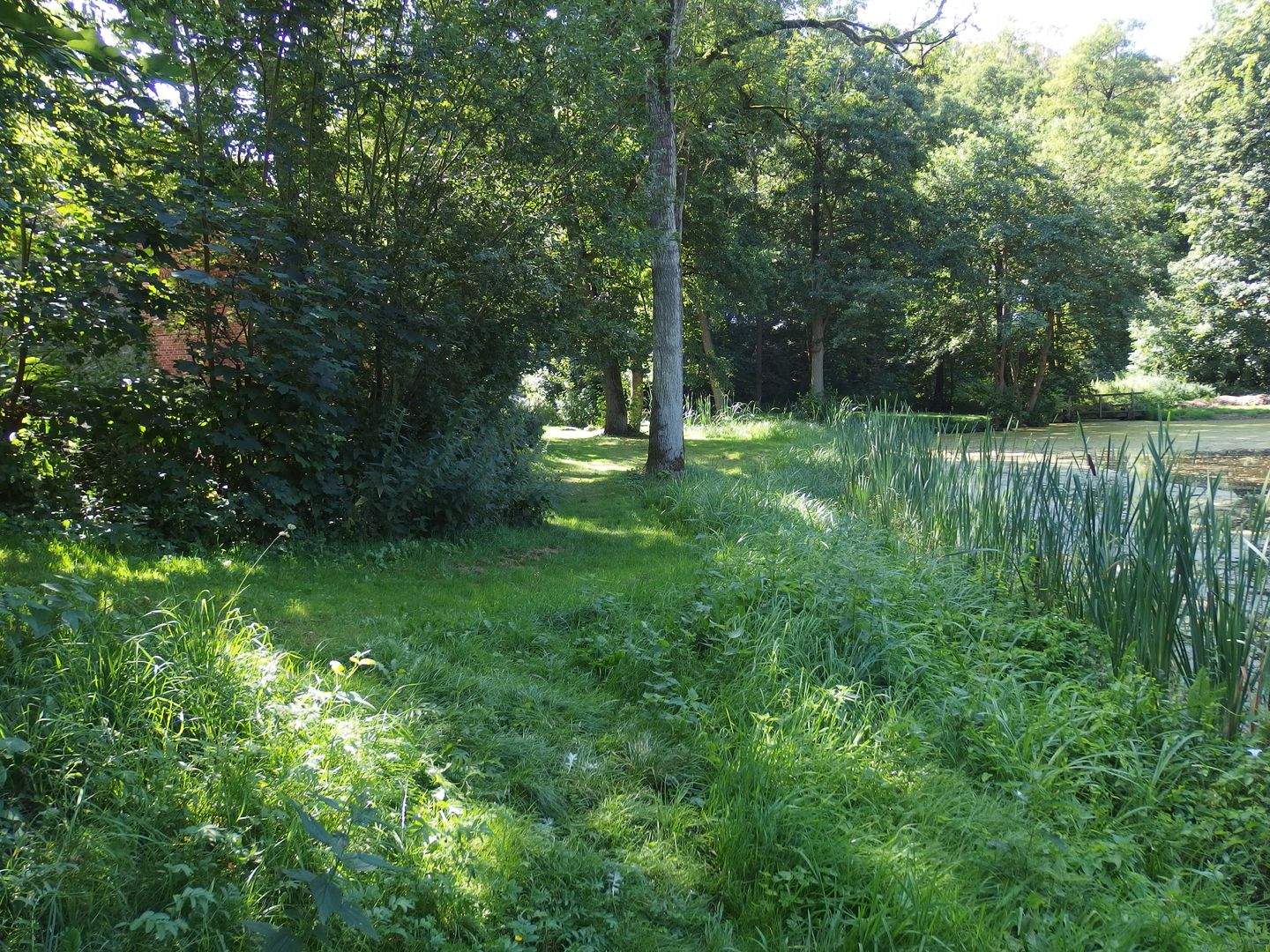 Bild 7