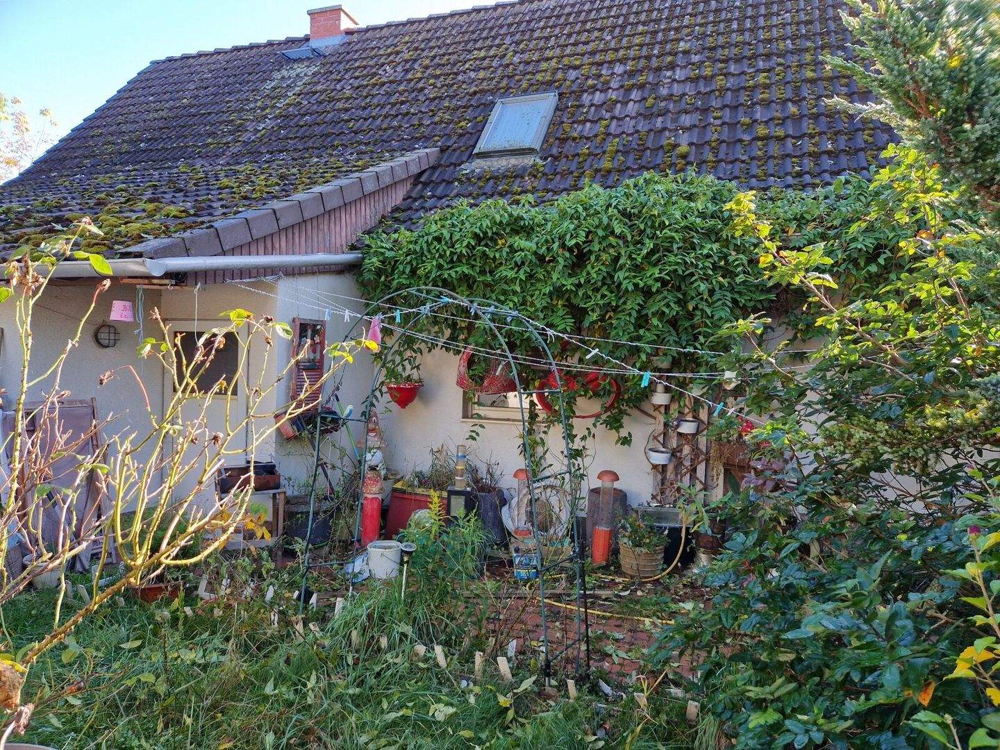 Bild 3