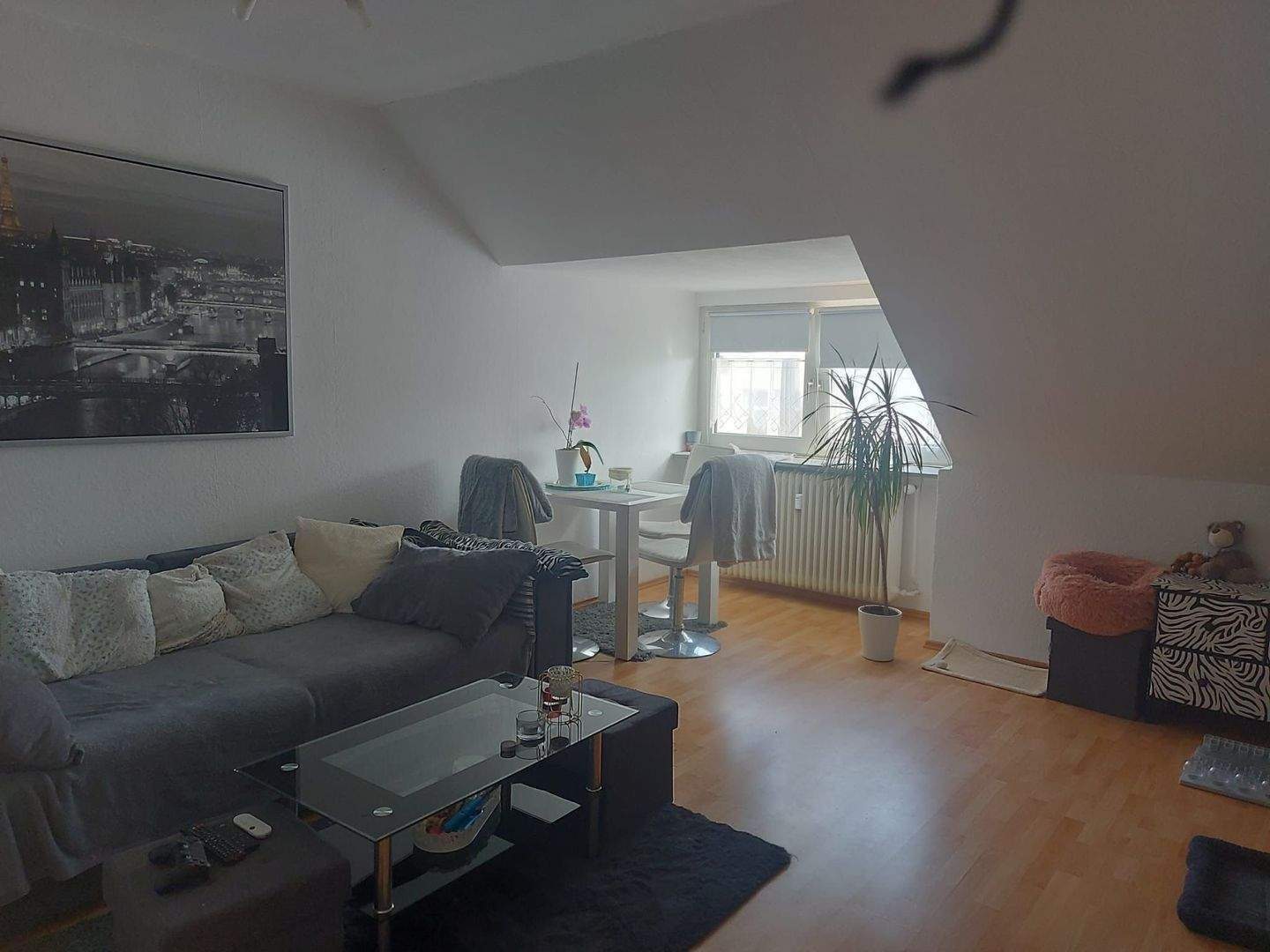 Bild 6