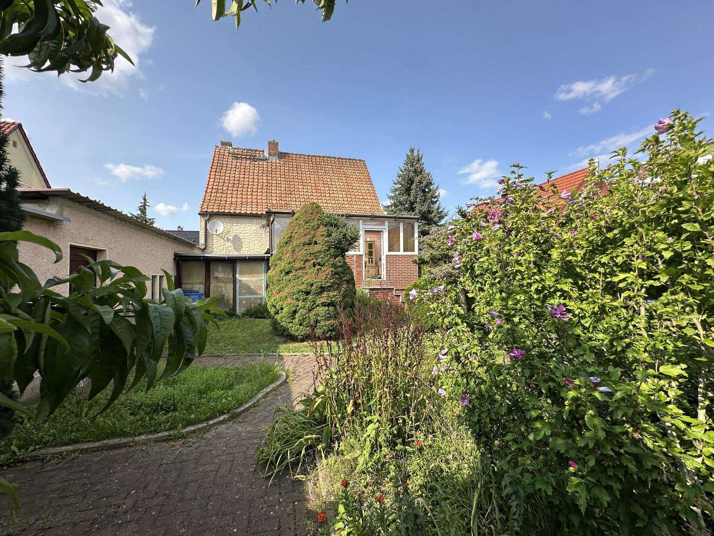 Bild 7
