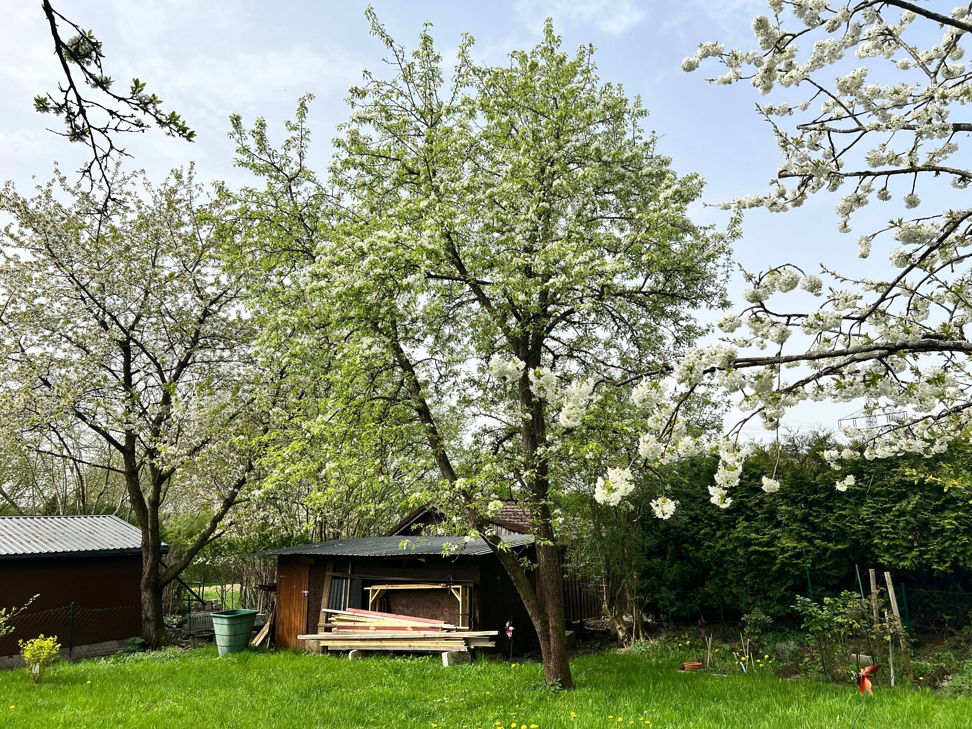 Bild 8