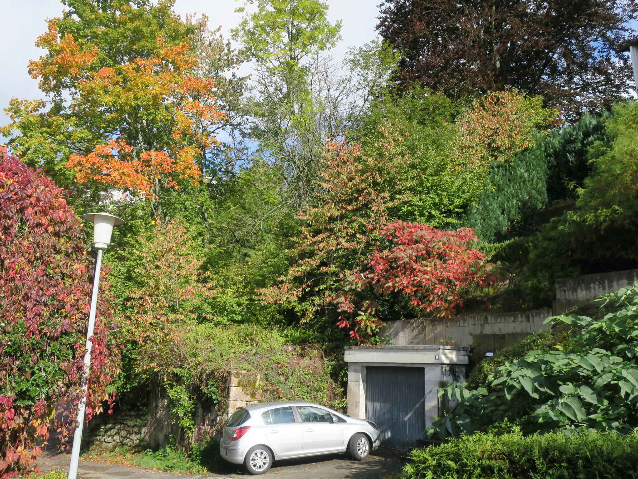 Bild 8